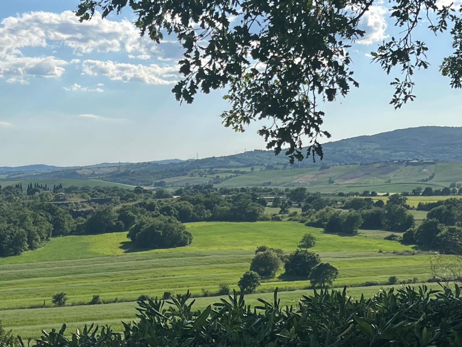 Agriturismo La Castellina Saturnia Ngoại thất bức ảnh