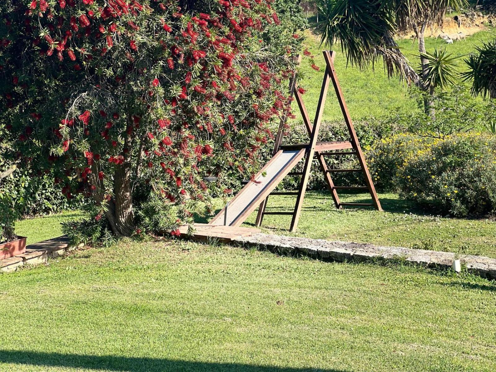 Agriturismo La Castellina Saturnia Ngoại thất bức ảnh