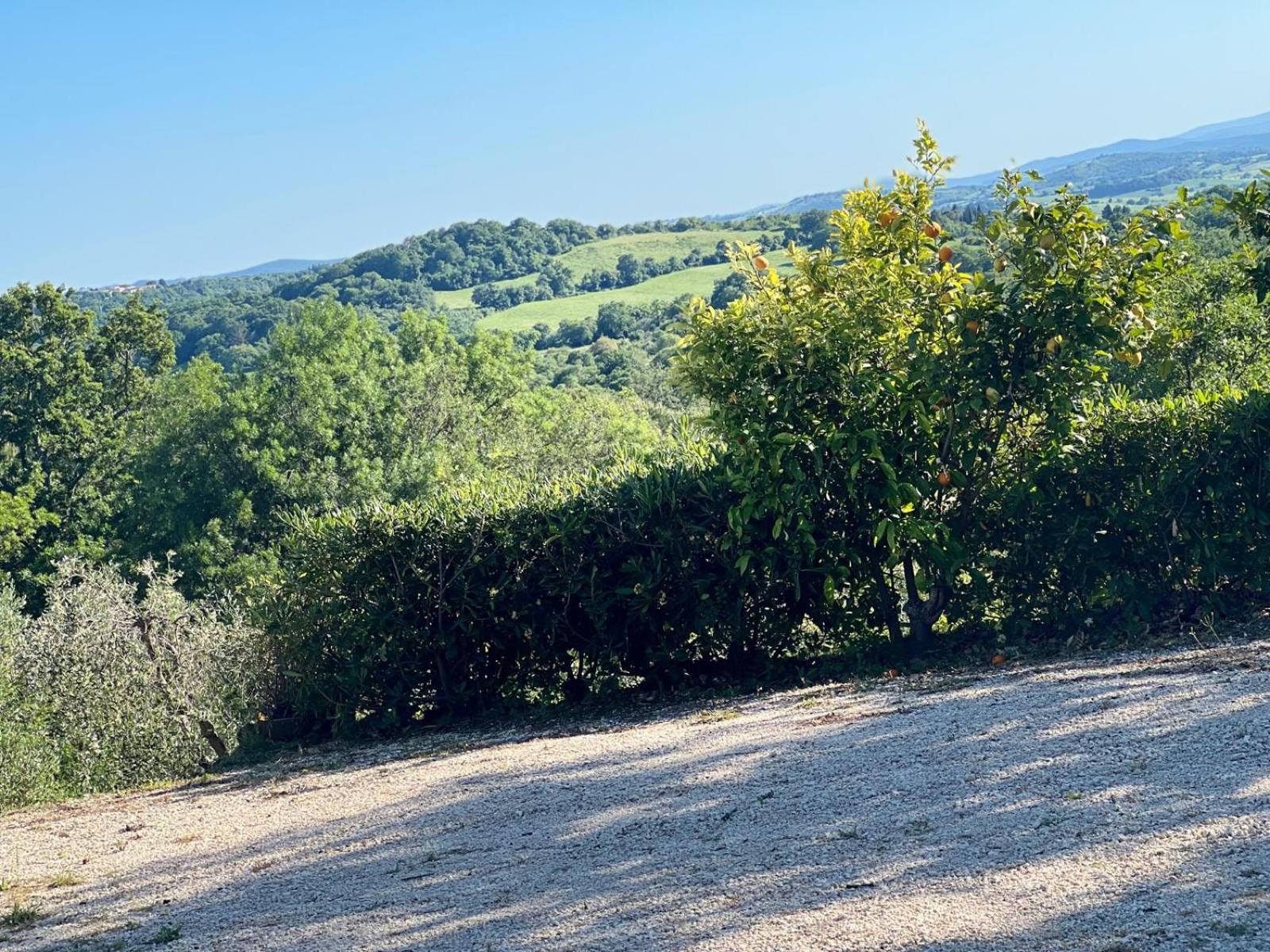 Agriturismo La Castellina Saturnia Ngoại thất bức ảnh