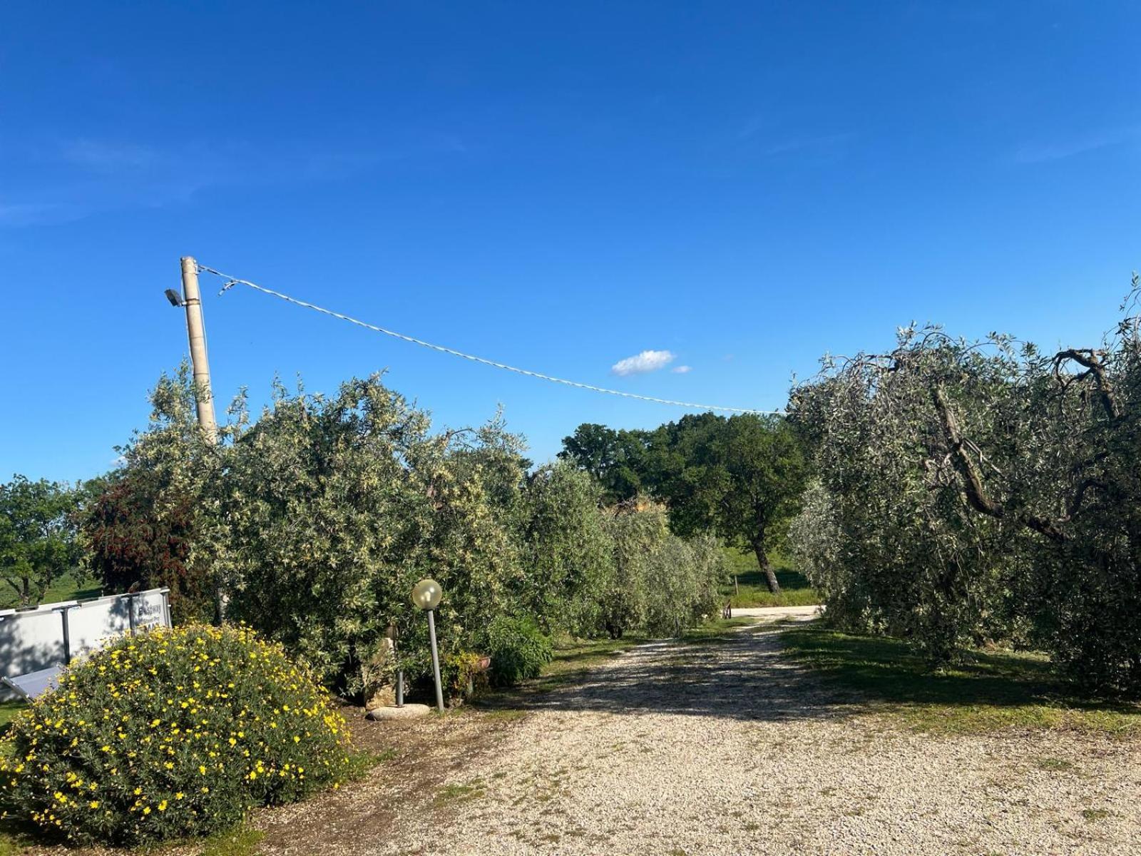 Agriturismo La Castellina Saturnia Ngoại thất bức ảnh